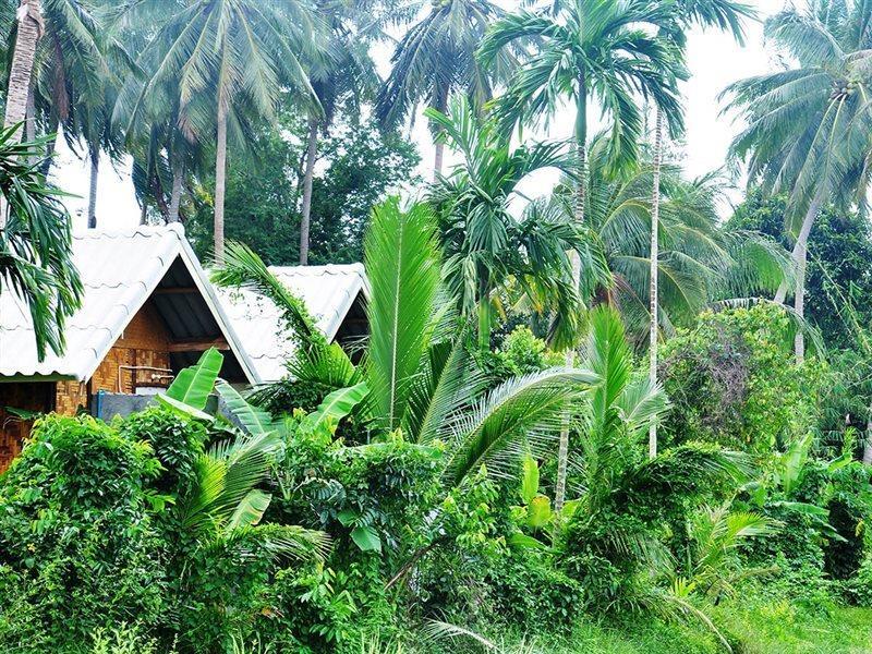 Jungle Garden Bungalows Hinkong Екстер'єр фото